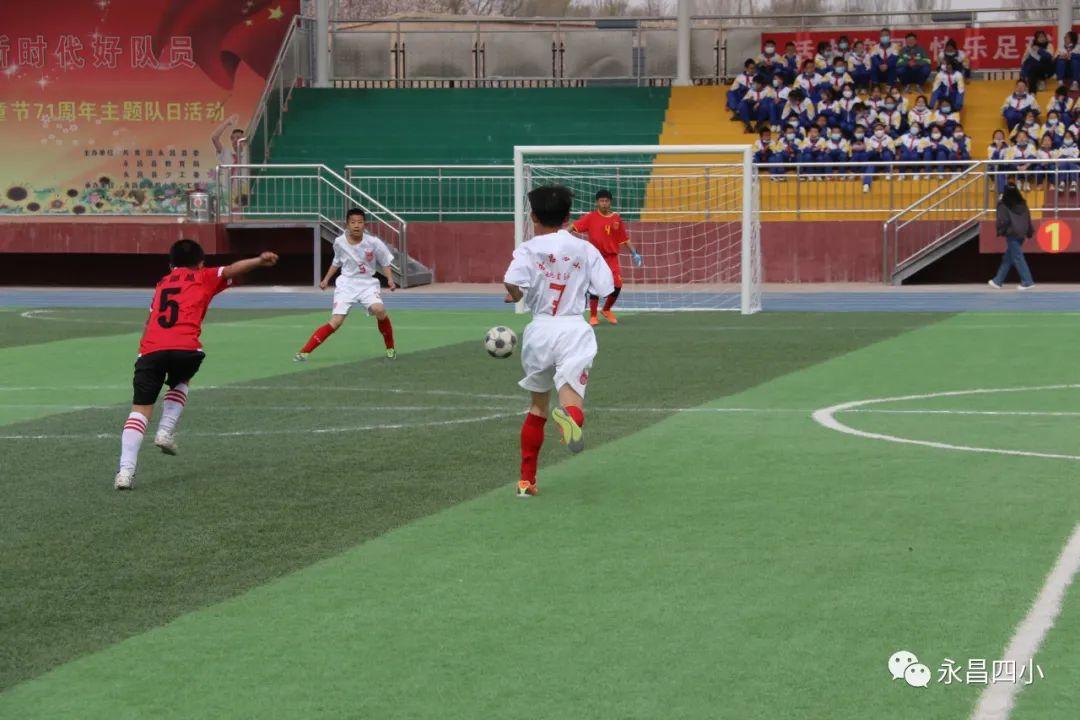 绿茵体育官网：✅✅绿茵竞技平台、科学作答落实解释